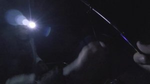 На этой рыбалке БЫЛО ВСЁ!!! Ловля крупного леща на сало. Рыбалка на фидер (донку).