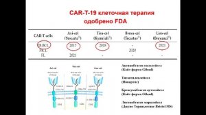 В НМИЦ гематологии готовы к производству CAR-T препаратов