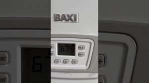 котел бакси воет