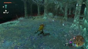 The Legend of Zelda Tears of the Kingd Как поспасть в лес короков. Затерянные леса.