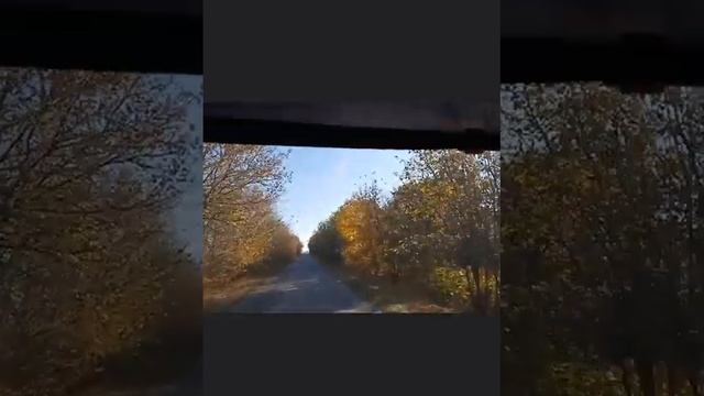 Друзья! Поздравляю с днем АВТОМОБИЛИСТА!!! смотреть онлайн