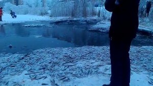 Рыбалка в Колпино)(1)