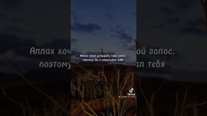 Какого человека любит Аллах