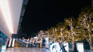 Новый Год в Японии. Как японцы празднуют Новый Год. Японские новогодние праздники.