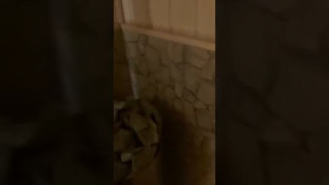 Отзывы об электрокаменках для сауны, как выбрать электрокаменку в сауну? лучше, надежнее и дешевле?