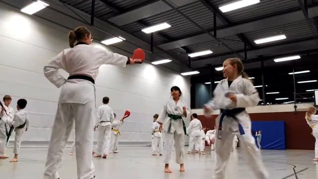 Pratzentraining im Kindertraining beim Taekwondo der TG Biberach