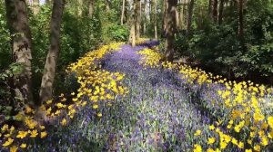 3 Часа музыки. Внутренний покой, расслабляющая, успокаивающая музыка