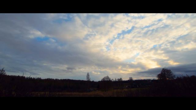 Свадебная история: Антон и Юля 11112015