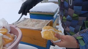 Как спасти пчел зимой Подкормка пчел зимой медом