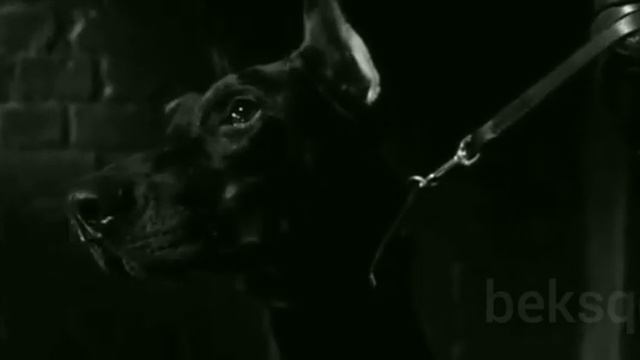 Острые Козырьки......Томас Шелби ........ Киллиан Мёрфи смотреть онлайн