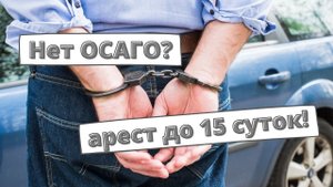 Водителей без ОСАГО начали арестовывать