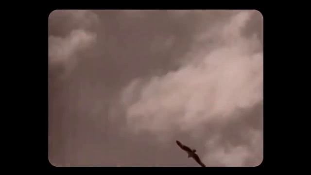 Литературное знакомство с творчеством Н.Н. Туроверова. Телерепортаж