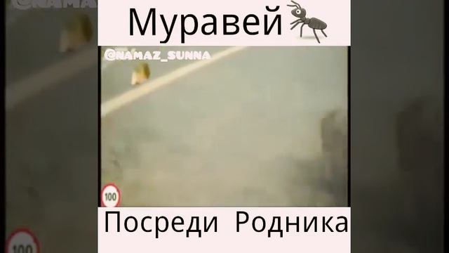 НЕ ПОКИНЕТ ТЕБЯ ТВОЙ ГОСПОДЬ. Удивительно? смотреть онлайн