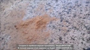 Циклон на бутылку или ведро с демонстраций его работы.