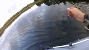 За щукой на озеро Берёзовское