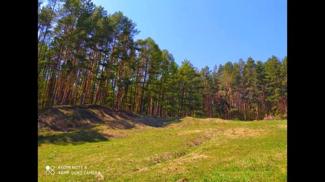 ЛЕС ВЕСНОЙ? смотреть онлайн