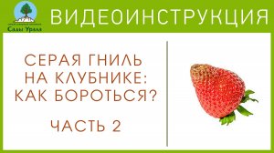 Земляника: борьба с серой гнилью. Часть 2: Средства защиты против ягодного грибка