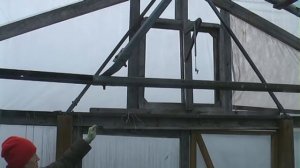 Как правильно обустроить теплицу для голубики