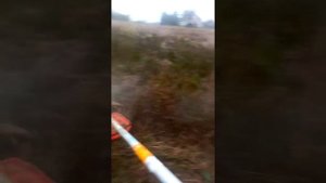 Работа бензинового триммера Husqarna 331R