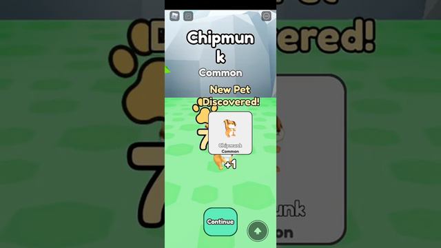 Собери всех питомцев в Collect all pets!