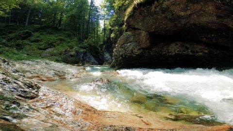 Звуки природы - Горная река | Звуки реки | Шум реки | Белый шум | Релаксация | Заставка для ТВ