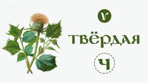 Какъ читать букву Ч? #shorts