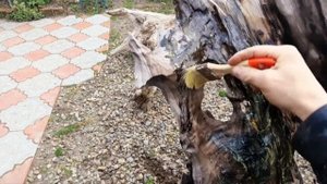 Бесплатная, защита дерева от гниения // Простой способ