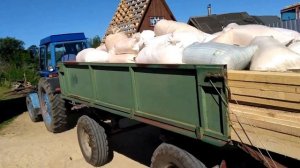 Вашему вниманию, наш красавец трактор ЛТЗ 55