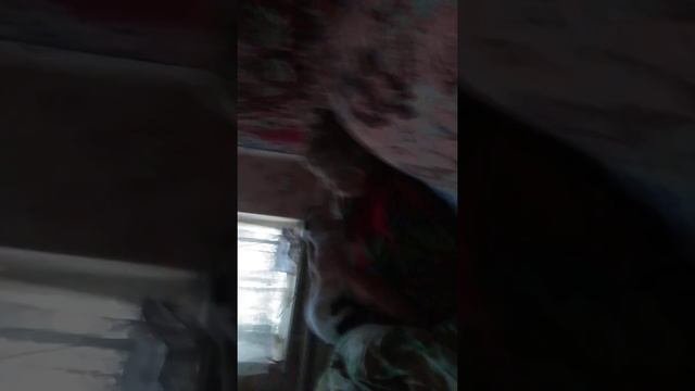 Живодерка!!!!!!
