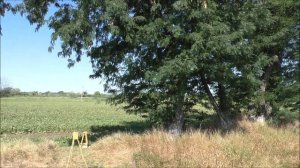 По границе Карачаево-Черкесской республике на велосипеде. Часть 1-я.