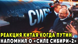 Вы не поверите, что сделал Китай, когда Путин упомянул «Силу Сибири 2»!