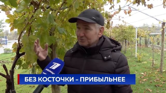 БЕЗ КОСТОЧКИ - ПРИБЫЛЬНЕЕ смотреть онлайн