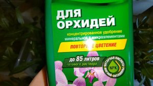 Удобрения для АДЕНИУМА, способствующие быстрому  росту и развитию ( по моему мнению)