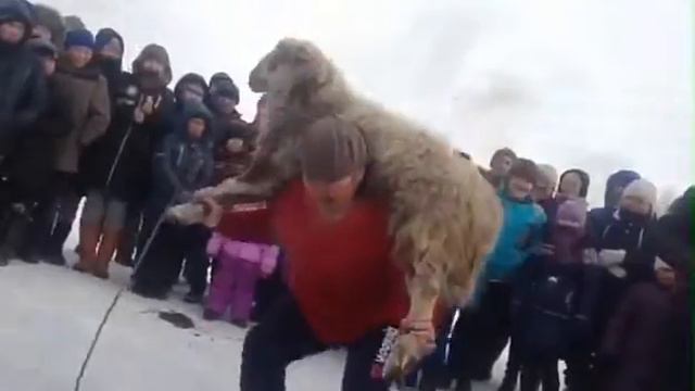 Шагаа 2017 (крутяяк) смотреть онлайн