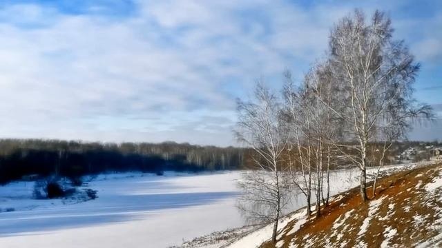 Сергей Авилов - Русские березы