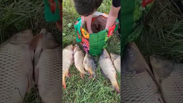 2 августа 2021 г. смотреть онлайн