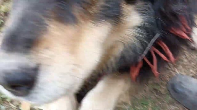 #цитата дня. 11 мая. А что сегодня должно произойти, того нам знать не ведомо! смотреть онлайн