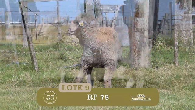 El Pampero - RP 78 смотреть онлайн