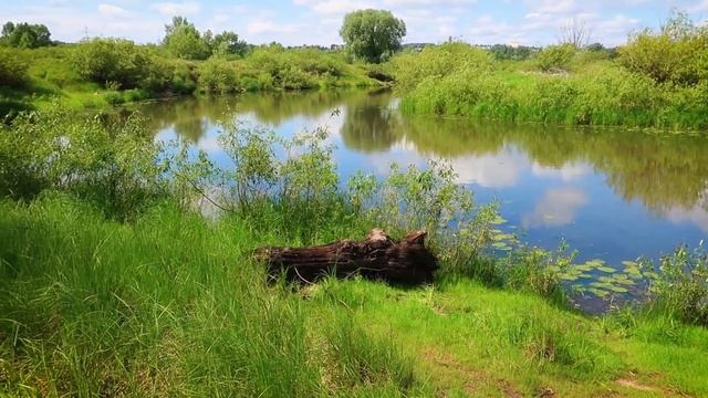 Заречный ПХОВ Мозырь. Гомельская область. Беларусь