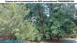 Видео прогулка по Тольяттинскому Дендрарию