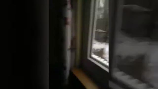 ПРП СТАРОСЕЛЬЕ Смоленская область 23 февраля