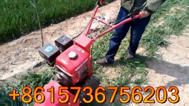 Gasoline engine drived used grass cutter machine, grass wheat reaper cutter machine
