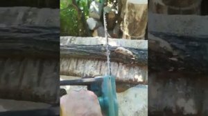 Козел для пилки дров #