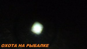 ОХОТА НА УТКУ С МР-155 И ФОНАРЕМ ПРИ ПОЛНОЙ ТЕМНОТЕ