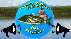 Как поделиться уловом в чате  | Реальная Рыбалка