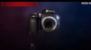 Canon 80D vs Canon 90D