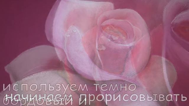 как нарисовать розу сухой пастелью смотреть онлайн