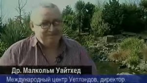 Загадки  Черного моря .История подводного мира.