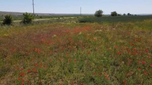 Ставрополь СТАВРОПОЛЬСКИЕ СТЕПИ