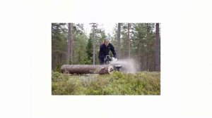 Мобильная цепная пилорама для распилования бревен Logosol Big Mill Базовая в маркетплейсе Розетка